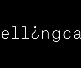 Bellingcat ищет проекты, использующие открытые данные