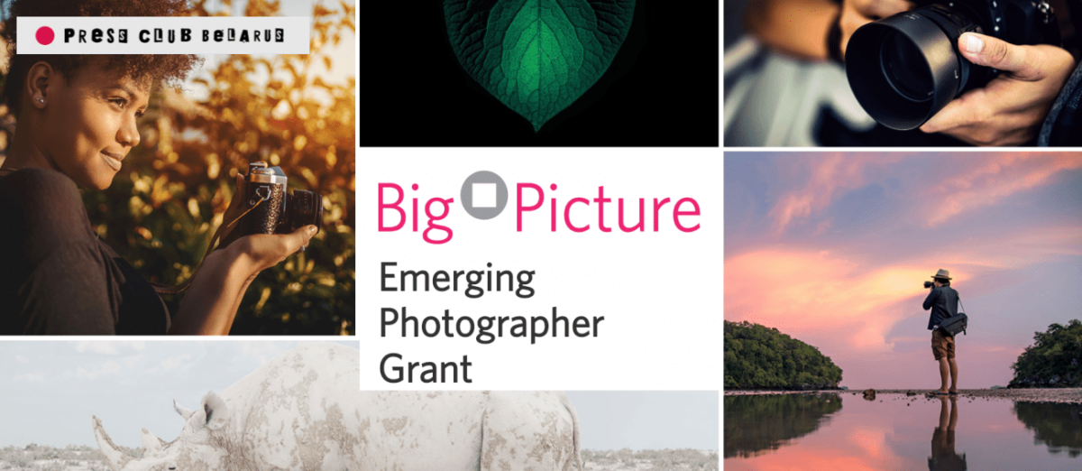 Гранты для молодых фотографов от Big Picture Natural World Photography Competition