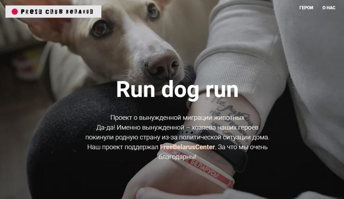 Run Dog Run. Беларусские журналист и фотограф представили необычный проект