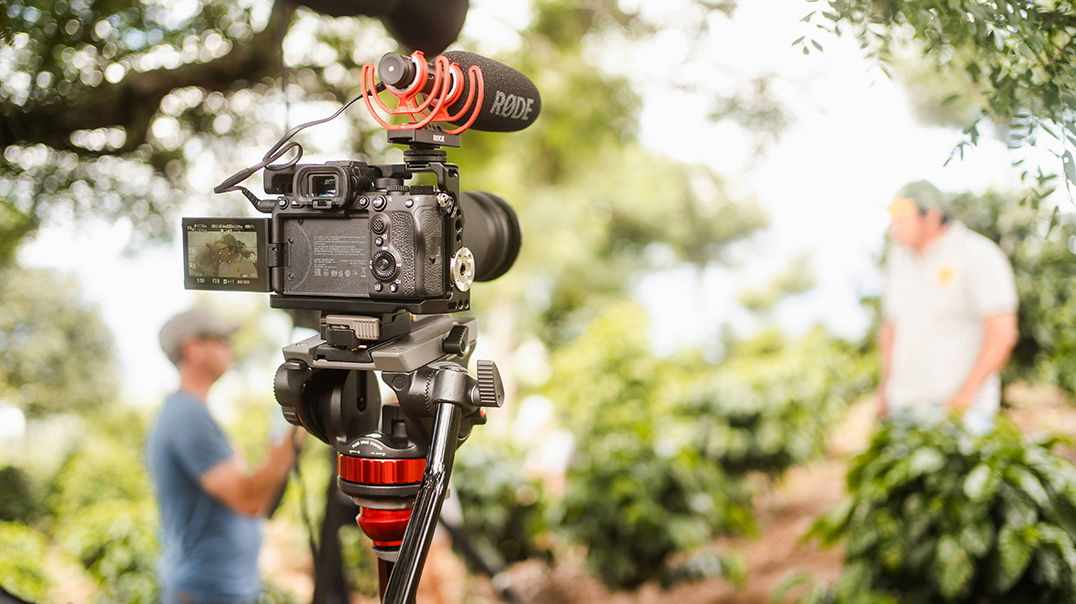 Падтрымка дакументалістаў: IBF Classic