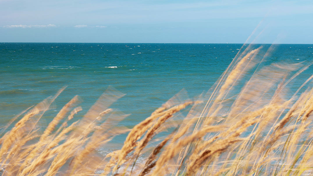 ARS BALTICA шукае асістэнта для працы з медыя